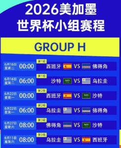世界杯训练场上的球员