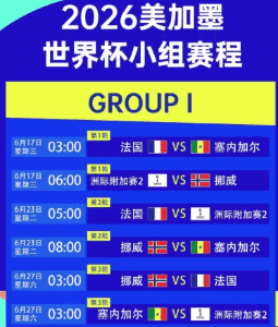 官方用球展示